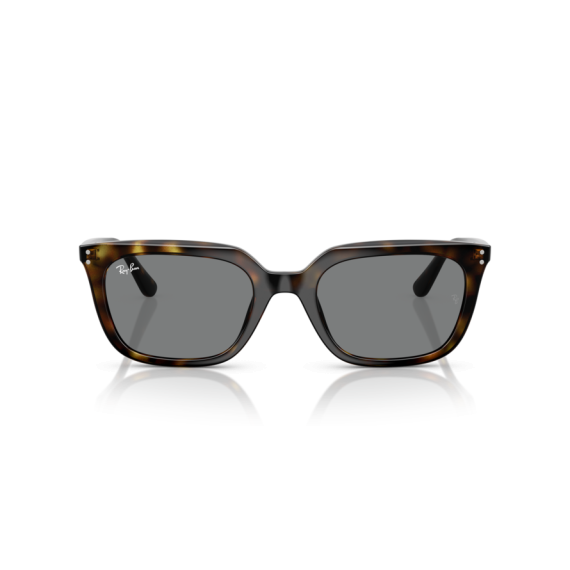 Ray-Ban RB 4439D 710/87 Güneş Gözlüğü, Resim 5