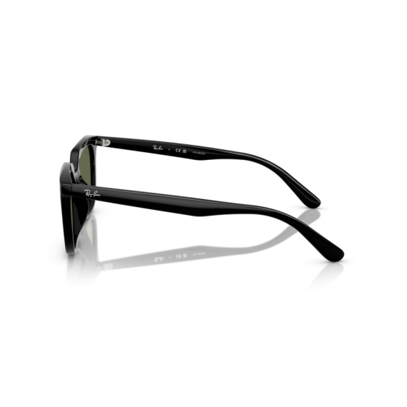 Ray-Ban RB 4439D 901/9A Güneş Gözlüğü, Resim 2