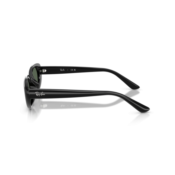 Ray-Ban RB 4441D 667771 Güneş Gözlüğü, Resim 2