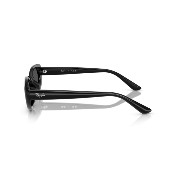 Ray-Ban RB 4441D 667787 Güneş Gözlüğü, Resim 2