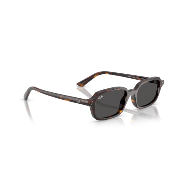 Ray-Ban RB 4455 135987 Güneş Gözlüğü, Cinsiyet: Unisex, Ekartman: 52, Resim 4