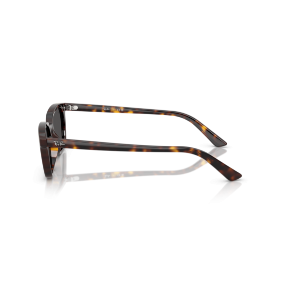 Ray-Ban RB 4456 135987 Güneş Gözlüğü, Cinsiyet: Unisex, Ekartman: 50, Resim 2