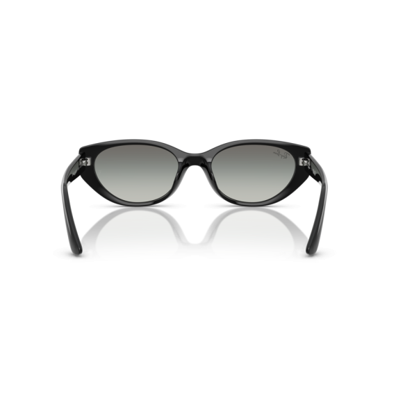 Ray-Ban RB 4457D 667711 Güneş Gözlüğü, Resim 3