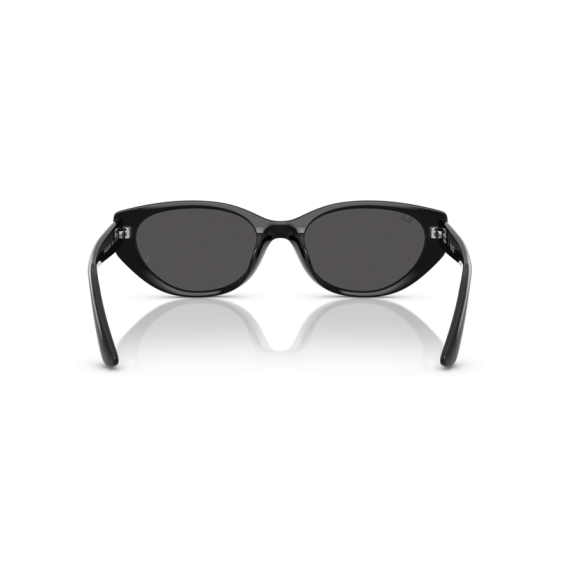 Ray-Ban RB 4457D 667787 Güneş Gözlüğü, Resim 3