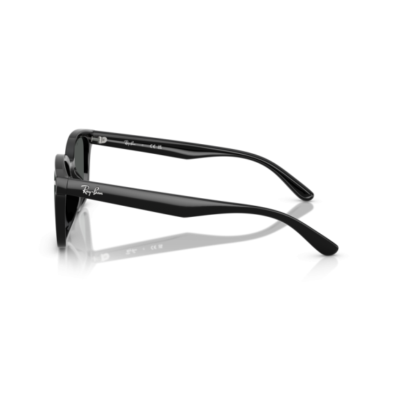 Ray-Ban RB 4461D 601/87 Güneş Gözlüğü, Resim 2