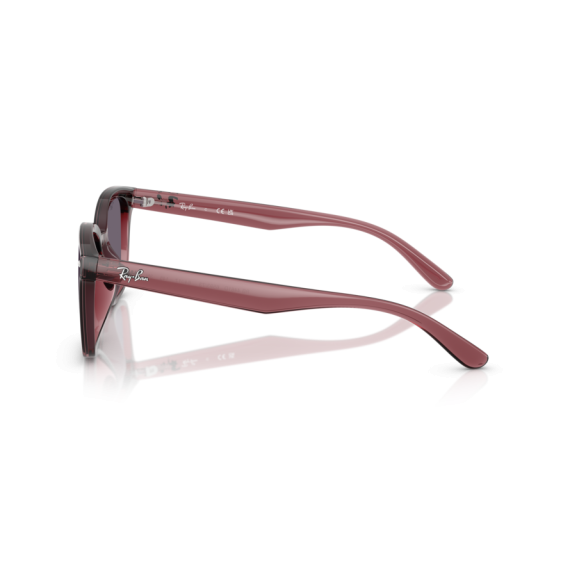 Ray-Ban RB 4461D 659373 Güneş Gözlüğü, Resim 2