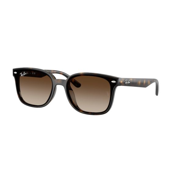 Ray-Ban RB 4461D 710/13 Güneş Gözlüğü, Resim 7
