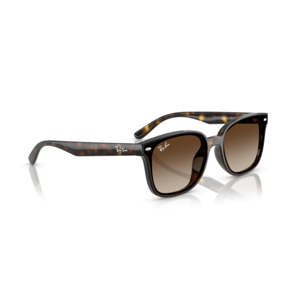 Ray-Ban RB 4461D 710/13 Güneş Gözlüğü, Resim 4