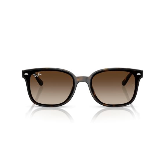 Ray-Ban RB 4461D 710/13 Güneş Gözlüğü, Resim 5
