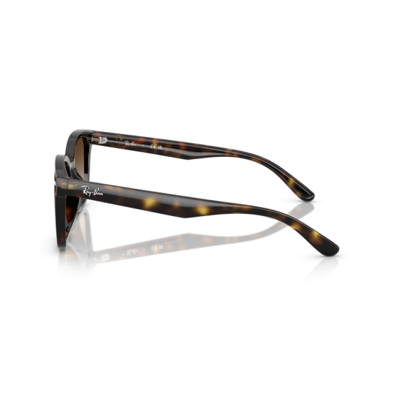 Ray-Ban RB 4461D 710/13 Güneş Gözlüğü, Resim 2