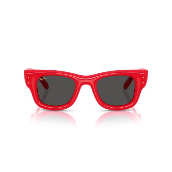 Ray-Ban RB 4940 683187 Güneş Gözlüğü, Cinsiyet: Unisex, Ekartman: 50, Resim 5