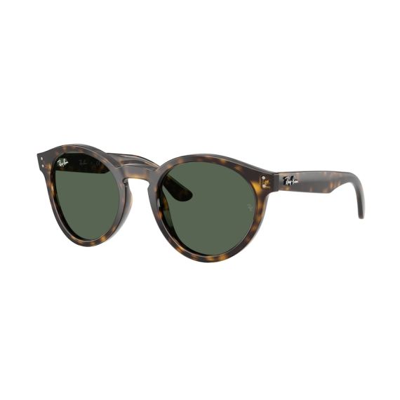 Ray-Ban RB R0505S 6790VR Güneş Gözlüğü, Resim 7