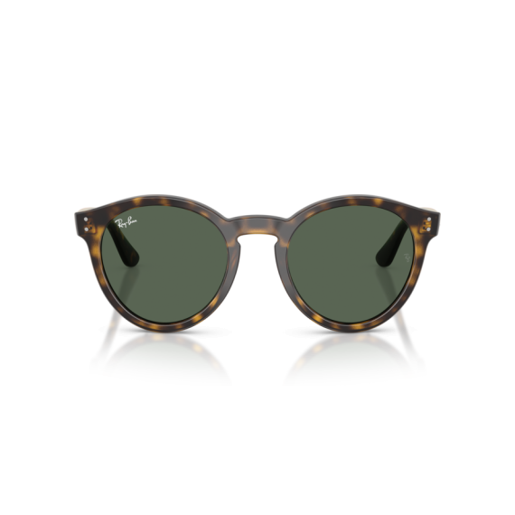 Ray-Ban RB R0505S 6790VR Güneş Gözlüğü, Resim 5