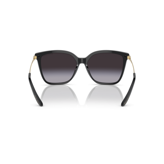Ralph Lauren RL 8209 50018G Güneş Gözlüğü, Resim 3