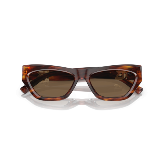 Ralph Lauren RL 8218U 500773 Güneş Gözlüğü, Resim 5
