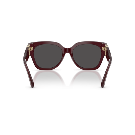 Ralph Lauren RL 8221 508387 Güneş Gözlüğü, Resim 3