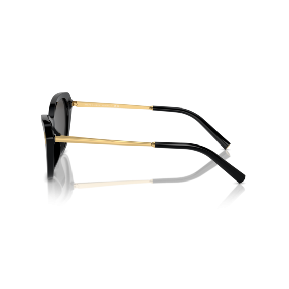 Ralph Lauren RL 8224U 500187 Güneş Gözlüğü, Resim 2