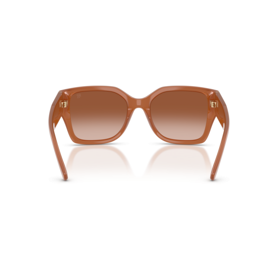 Ralph Lauren RL 8230U 624413 Güneş Gözlüğü, Resim 3