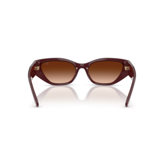 Ralph Lauren RL 8231U 551674 Güneş Gözlüğü, Resim 3