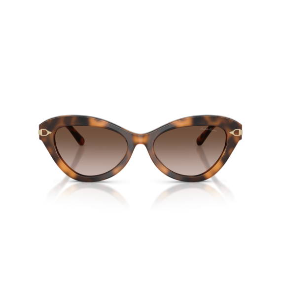 Ralph Lauren RL 8236U 608913 Güneş Gözlüğü, Resim 4