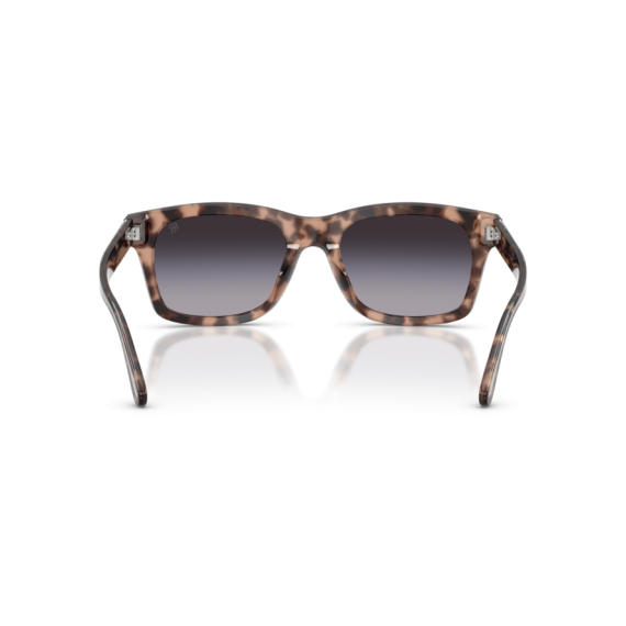 Ralph Lauren RL 8237U 63078G Güneş Gözlüğü, Resim 3