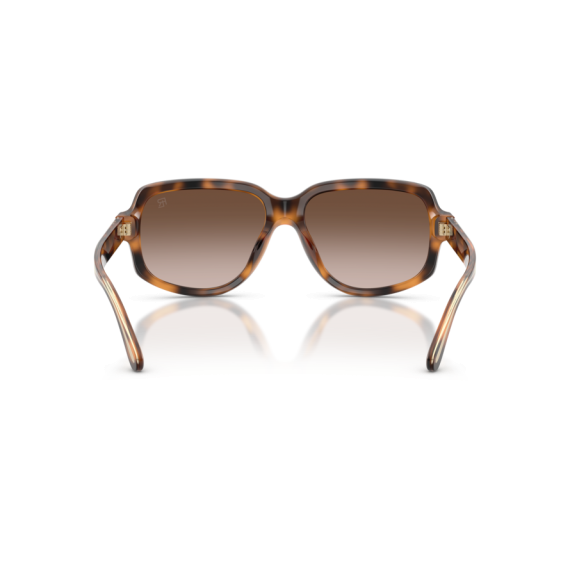 Ralph Lauren RL 8238U 608913 Güneş Gözlüğü, Resim 3