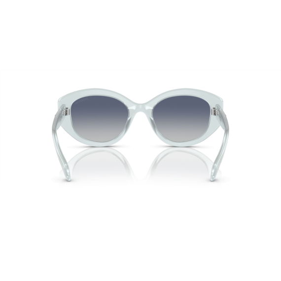 Swarovski SK 6005 10244L Güneş Gözlüğü, Resim 3