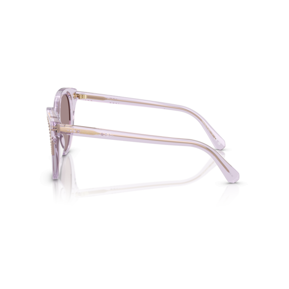 Swarovski SK 6031 1079LA Güneş Gözlüğü, Resim 2