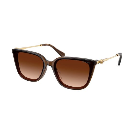 Swarovski SK 6054D 108474 Güneş Gözlüğü, Resim 6