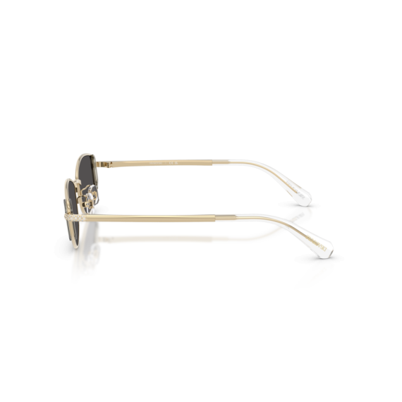 Swarovski SK 7035D 401387 Güneş Gözlüğü, Resim 2