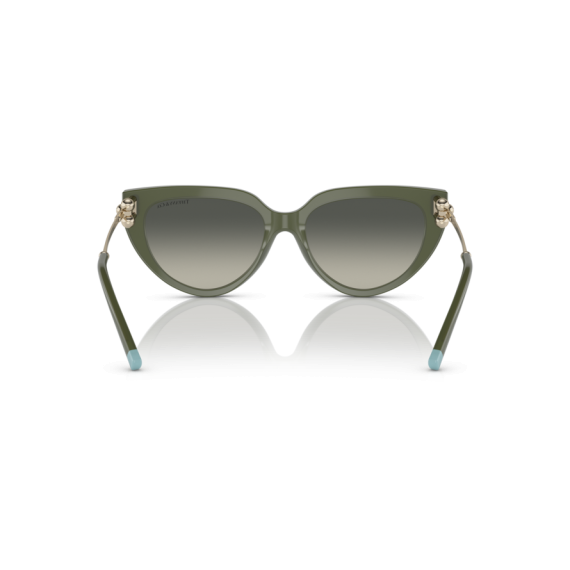 Tiffany TF 4195 835811 Güneş Gözlüğü, Resim 3