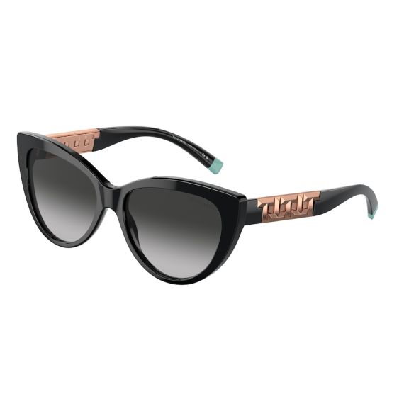 Tiffany TF 4196 80013C Güneş Gözlüğü, Resim 6