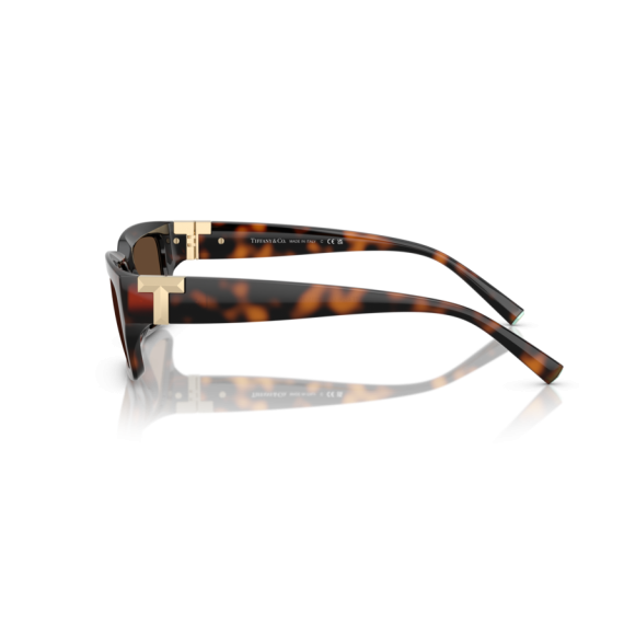 Tiffany TF 4226U 80153G Güneş Gözlüğü, Resim 2