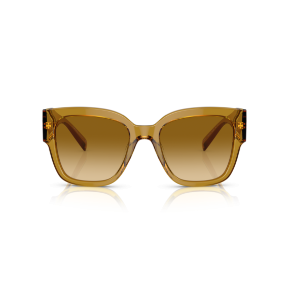 Versace VE 4437U 53472L Güneş Gözlüğü, Resim 4
