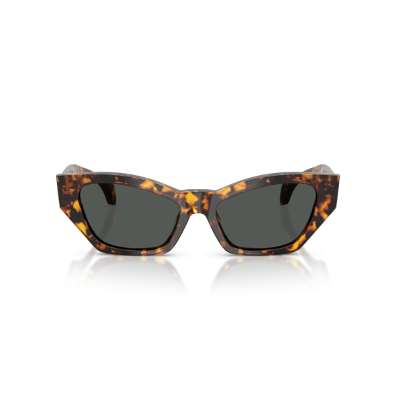 Versace VE 4488U 551487 Güneş Gözlüğü, Resim 4
