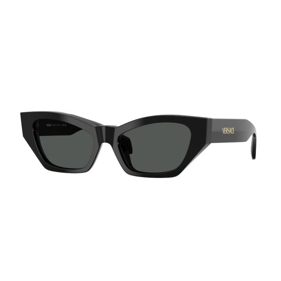 Versace VE 4488U GB1/87 Güneş Gözlüğü, Resim 6