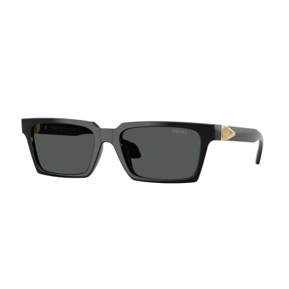 Versace VE 4490U GB1/87 Güneş Gözlüğü, Resim 6