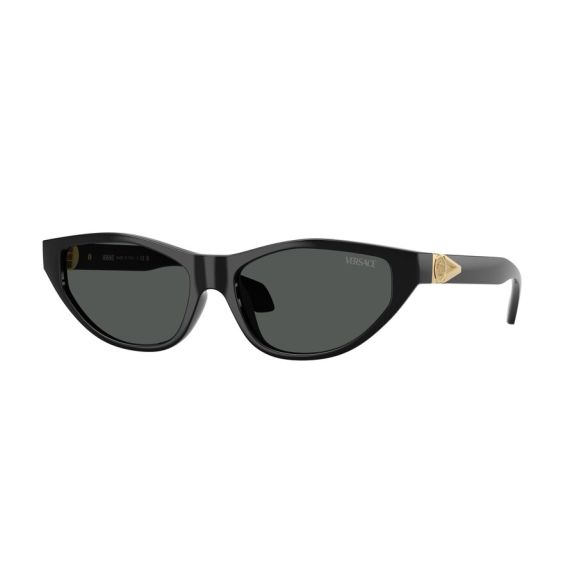 Versace VE 4491U GB1/87 Güneş Gözlüğü, Resim 6