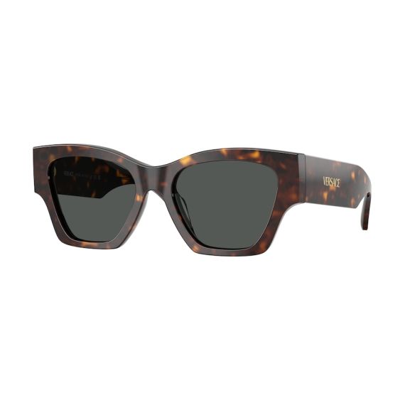 Versace VE 4492U 108/87 Güneş Gözlüğü, Resim 6