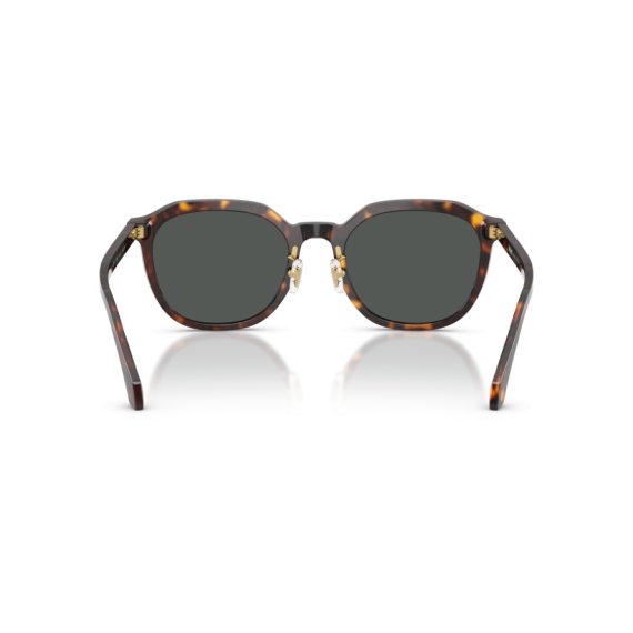 Versace VE 4493D 108/87 Güneş Gözlüğü, Resim 3