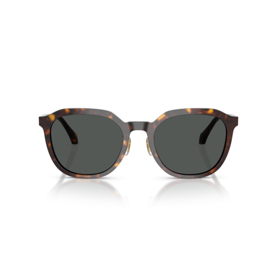 Versace VE 4493D 108/87 Güneş Gözlüğü, Resim 4