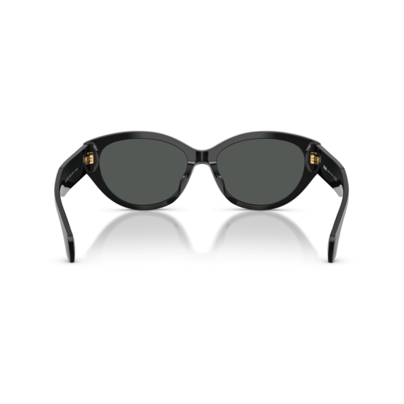 Versace VE 4495D GB1/87 Güneş Gözlüğü, Resim 3