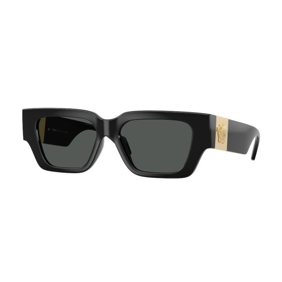 Versace VE 4497U GB1/87 Güneş Gözlüğü, Resim 6