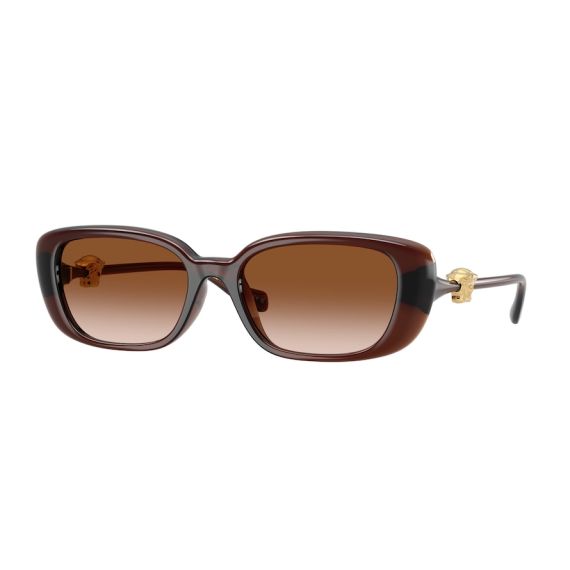 Versace VE 4504D 533213 Güneş Gözlüğü, Resim 6