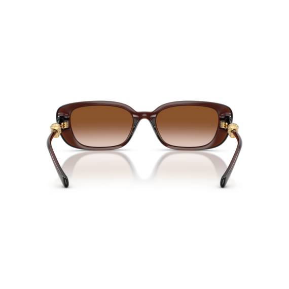 Versace VE 4504D 533213 Güneş Gözlüğü, Resim 3