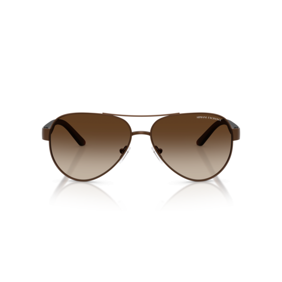 Armani Exchange AX 2034S 605813 Güneş Gözlüğü, Resim 4