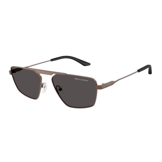 Armani Exchange AX 2059S 610687 Güneş Gözlüğü, Resim 6