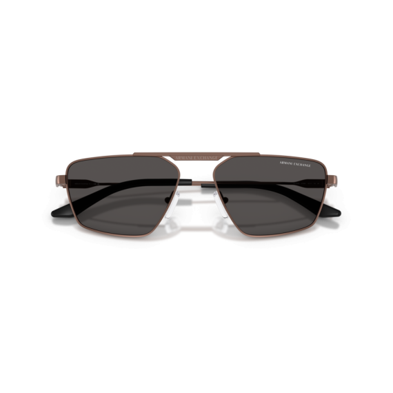 Armani Exchange AX 2059S 610687 Güneş Gözlüğü, Resim 5