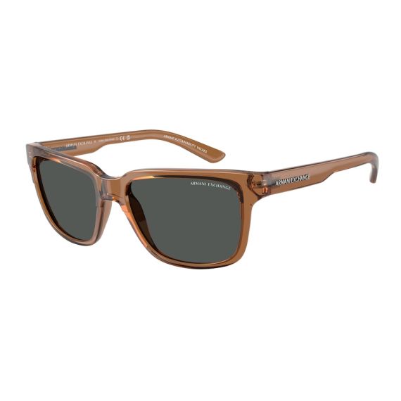 Armani Exchange AX 4026S 835887 Güneş Gözlüğü, Resim 6