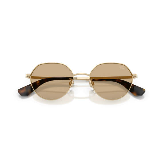Burberry BE 3173D 110973 Güneş Gözlüğü, Resim 5